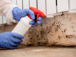 Why You Should Choose Our Mold Remediation Services in Clinton, SC